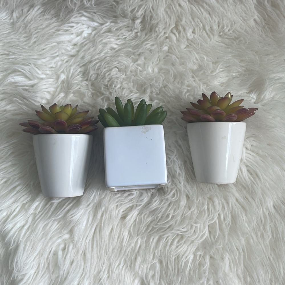 Small Fake Plants - Picture 4 of 8